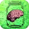 Big Brains in Little Jars