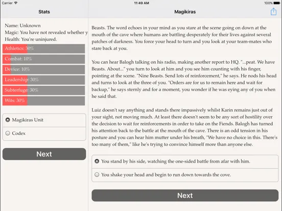 تصاویر Magikiras iPad 