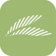 Royal Palm Hotels & Resorts