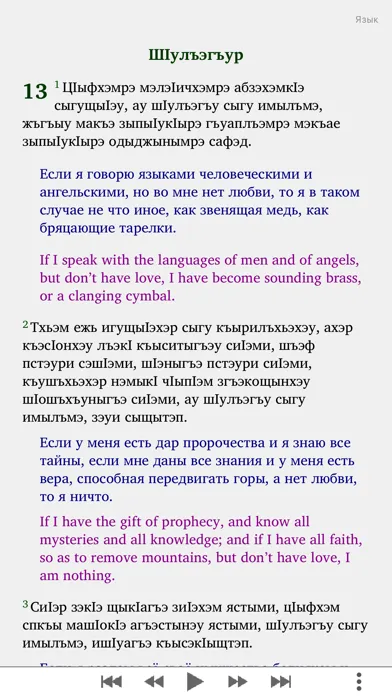 Ảnh chụp màn hình của КъэбарышӀур