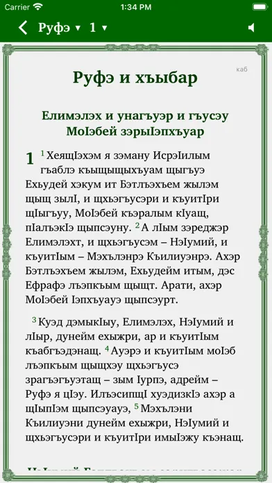 ФІыцІагъэ ЛъапІэ スクリーンショット