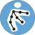 Ergo/IBV Tool