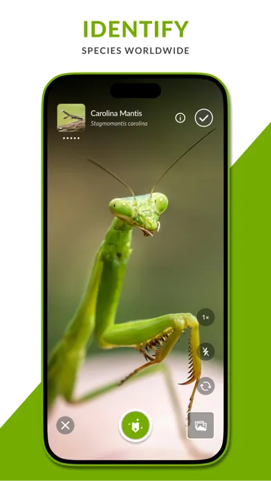 iNaturalist Next Screenshots