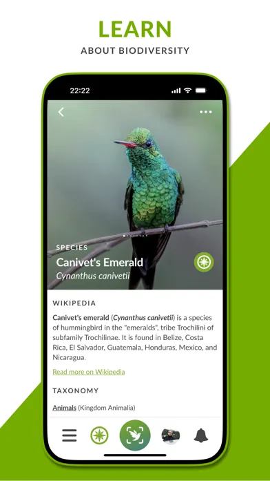 iNaturalist Next Screenshots