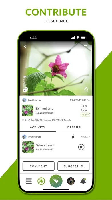 iNaturalist Next Screenshots