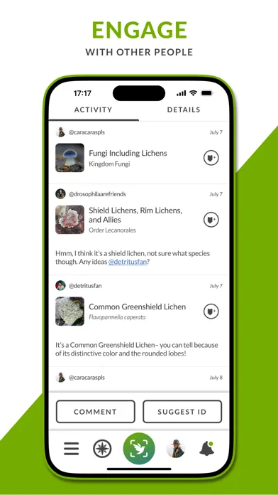 iNaturalist Next Screenshots