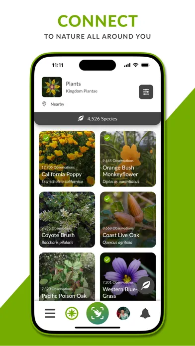 iNaturalist Next Screenshots
