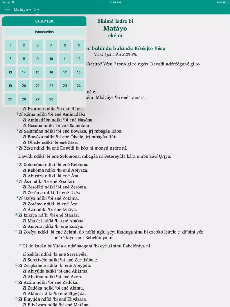 Capturas de tela do Baka Bible iPad 