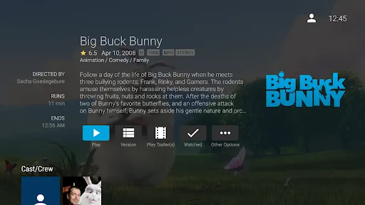 Jellyfin for Android TV应用截图