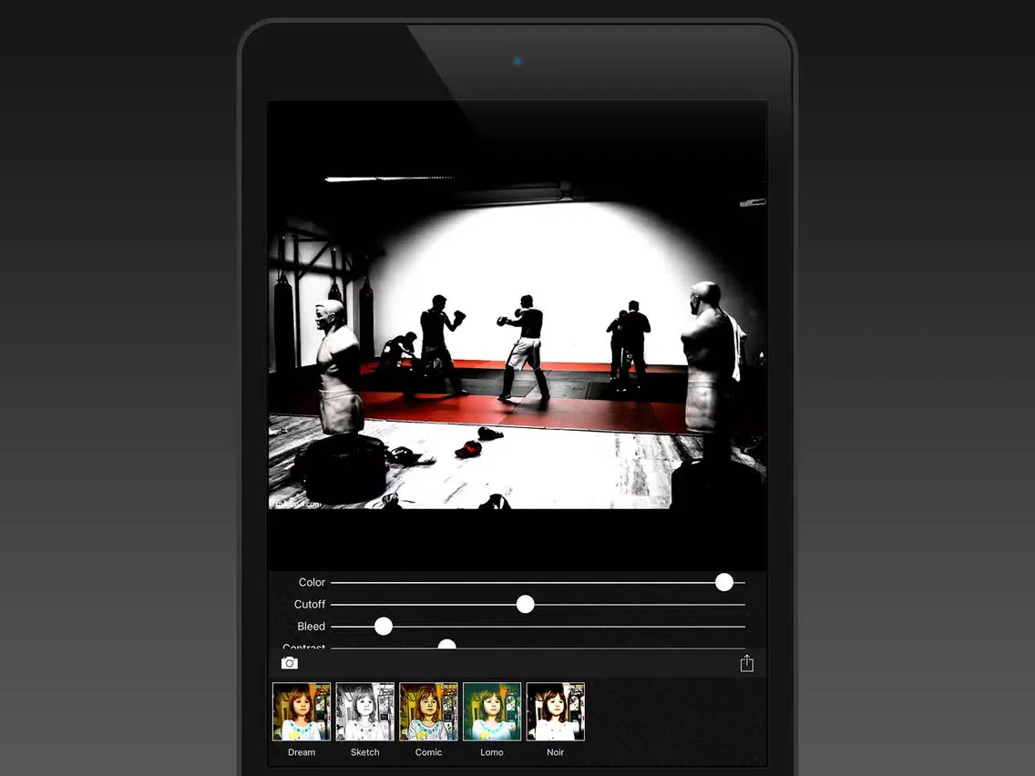 Ảnh chụp màn hình của Portrayal iPad 