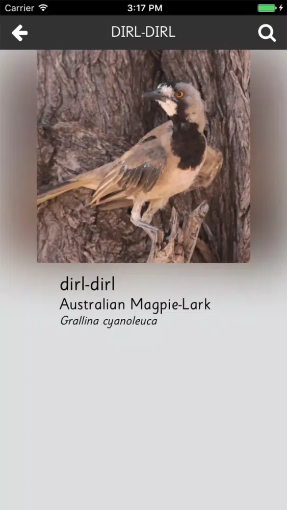 Capturas de tela do Ku kirrikbe