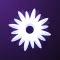 Lumi – AI Assistant
