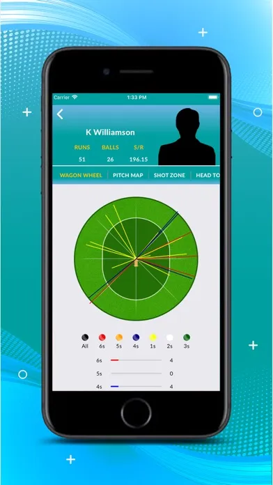 CRICKET 21 LIVE Screenshots