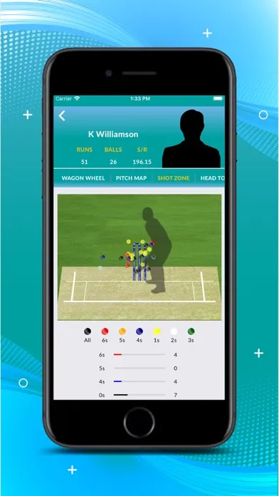 CRICKET 21 LIVE Screenshots