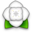 Kakoto