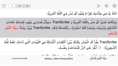 Скриншоты Libera TranScribe