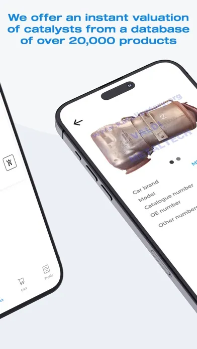 Valdi Catalyst Market应用截图