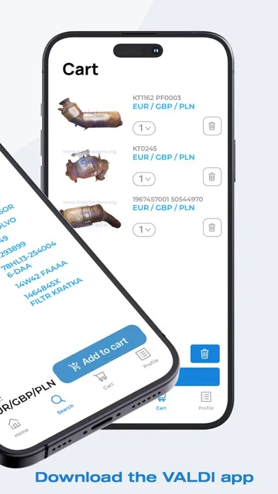 Valdi Catalyst Market应用截图