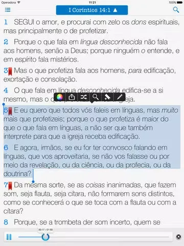 Captures d'écran de Holy Bible Audio in Portuguese iPad 