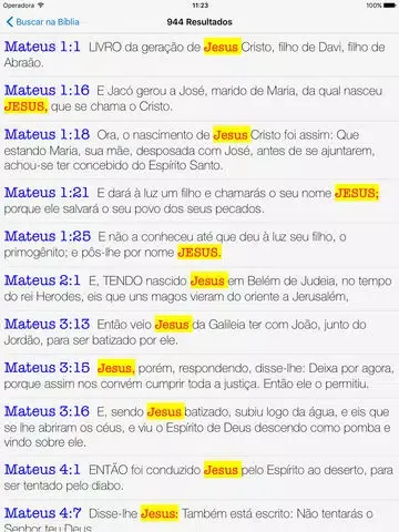 Captures d'écran de Holy Bible Audio in Portuguese iPad 