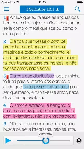 Captures d'écran de Holy Bible Audio in Portuguese