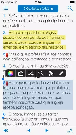 Captures d'écran de Holy Bible Audio in Portuguese