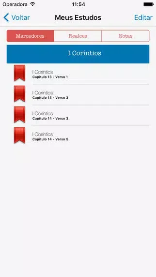 Captures d'écran de Holy Bible Audio in Portuguese