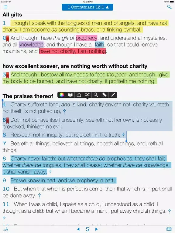 Bible Dictionaries & Strong's iPad  Screenshots