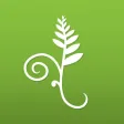 Koru Mindfulness Koru Mindfulness