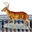 Deer Call Mixer Deer Call Mixer