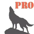 Predator Hunting Pro Predator Hunting Pro