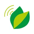 Kuwaka