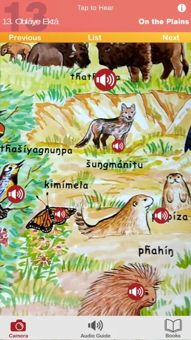Zrzuty ekranu Lakota Media Player