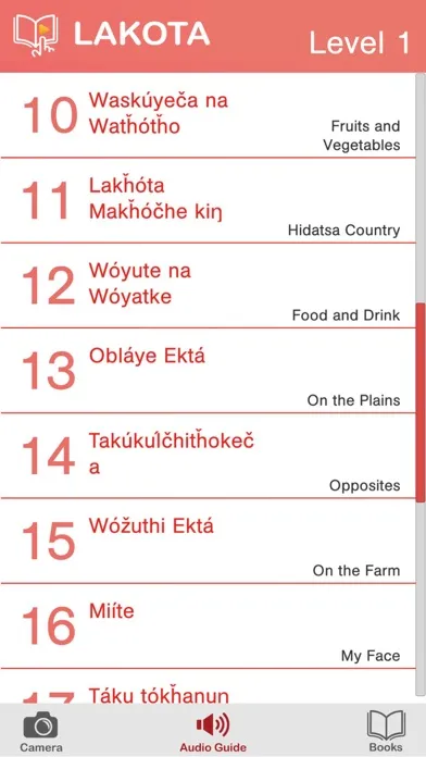 Zrzuty ekranu Lakota Media Player