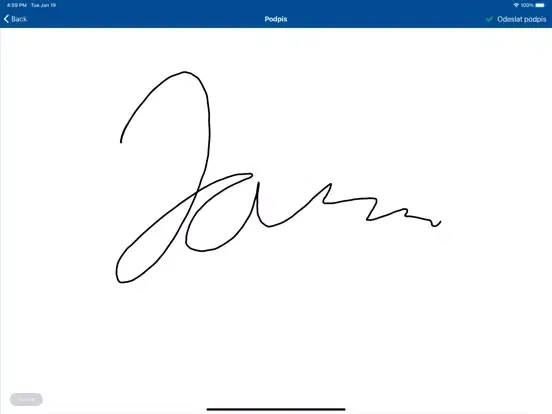AIDO signer iPad  スクリーンショット