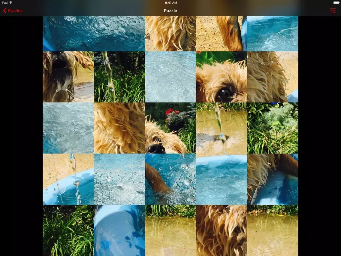 Capturas de pantalla de Mechanical Puzzles iPad 