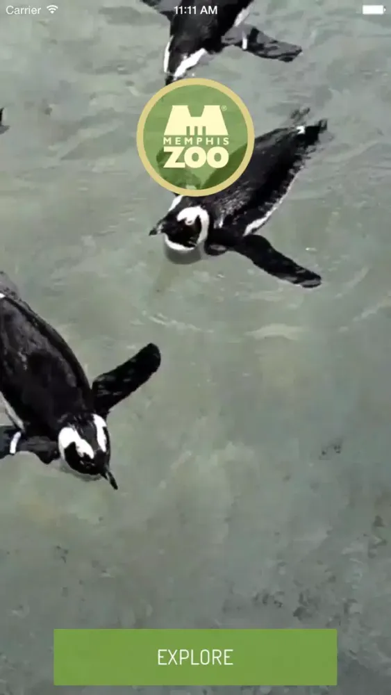 تصاویر The Memphis Zoo