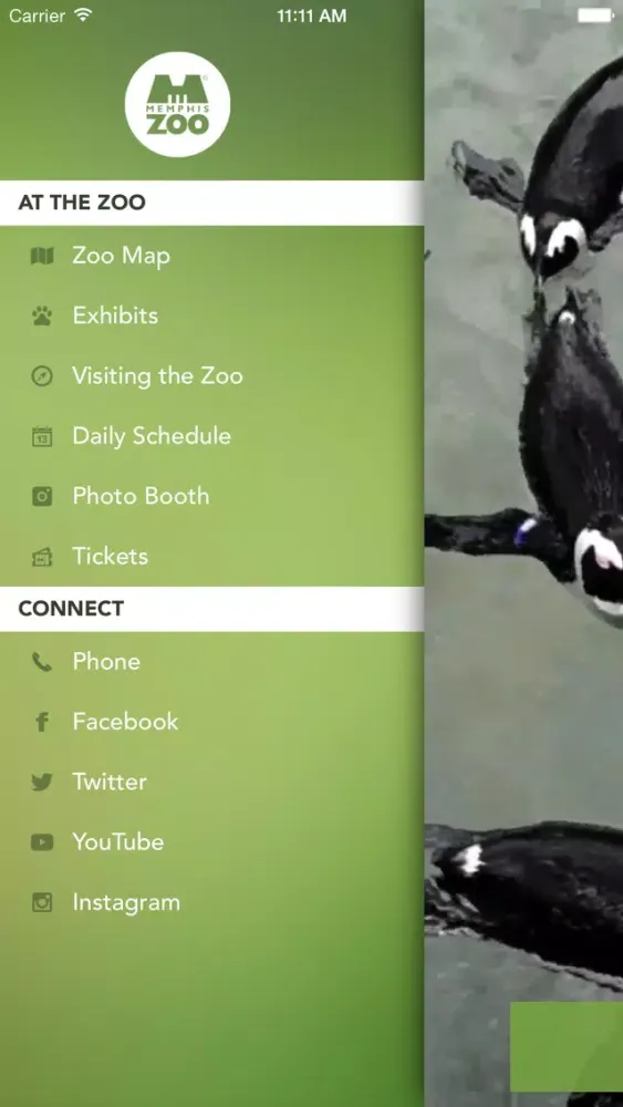 تصاویر The Memphis Zoo