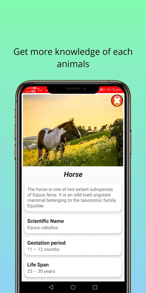 150 Animal Sounds Screenshots