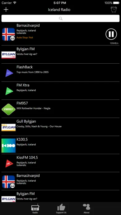 Icelandic Radio Screenshots