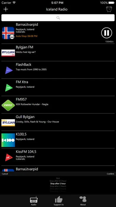 Icelandic Radio Screenshots