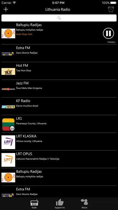 Lithuanian Radio - LT Radio应用截图