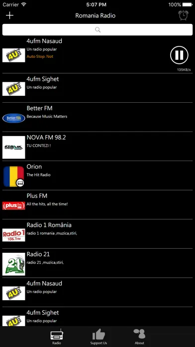 Romanian Radio স্ক্রিনশট