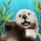 The Kelp Forest: My Aquarium