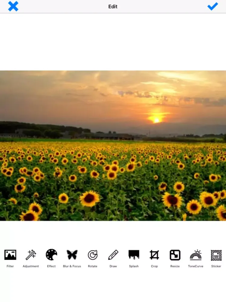 OffiPaint image editor for photos & graphics iPad  Screenshots