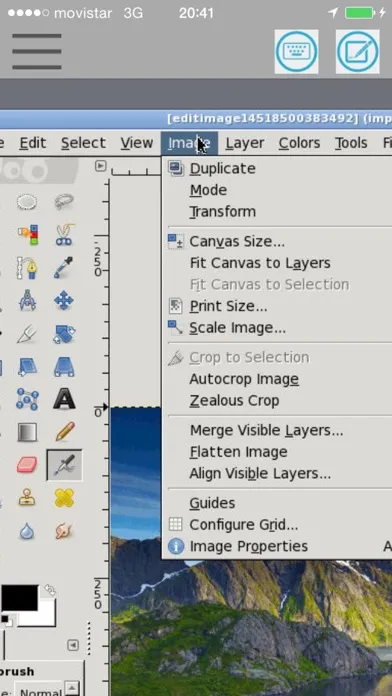 Capturas de pantalla de XGimp Image Editor Paint Tool