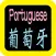 葡萄牙語聖經 Portuguese Audio Bible