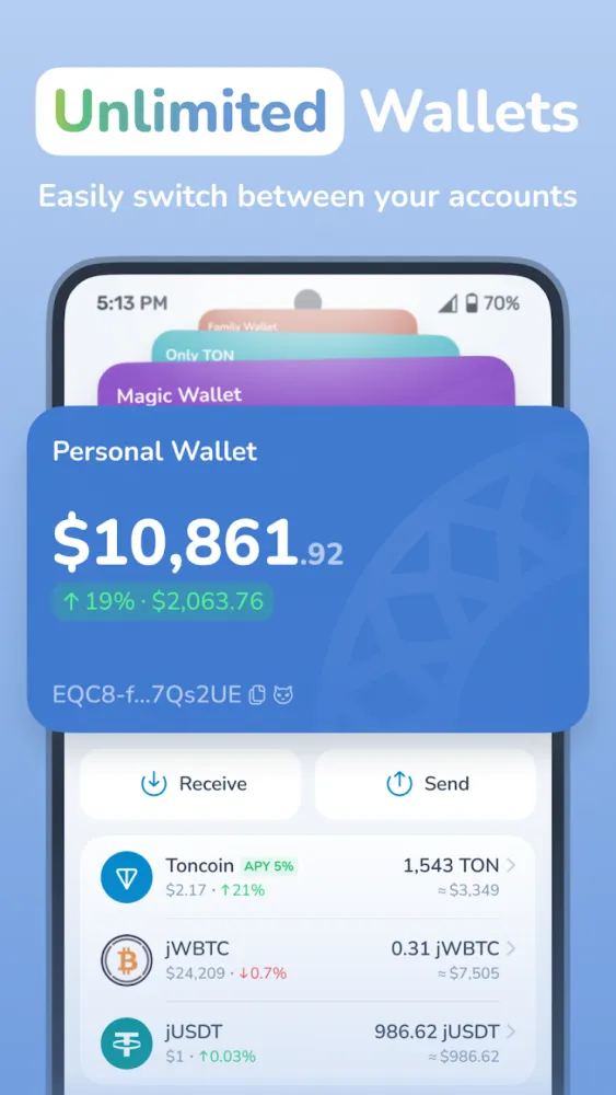 MyTonWallet: Anyway TON Wallet Screenshots