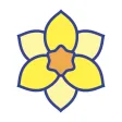 Daffodil Race