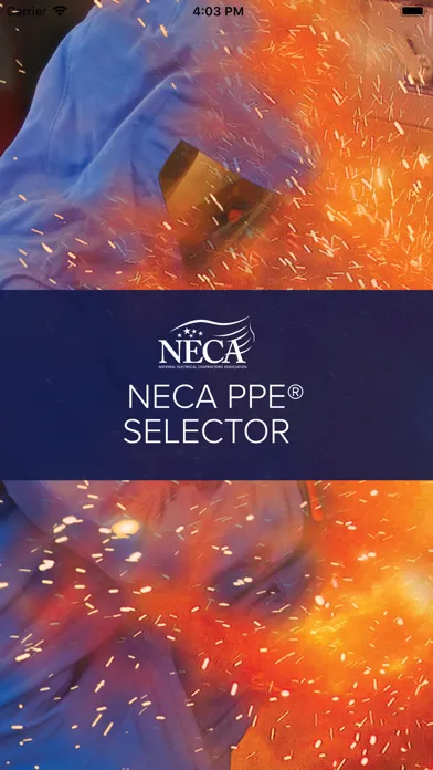 Screenshot di NECA 70E® PPE Selector Guide